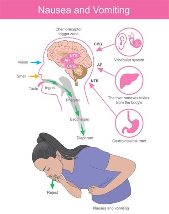 Can mirtazapine cause nausea?