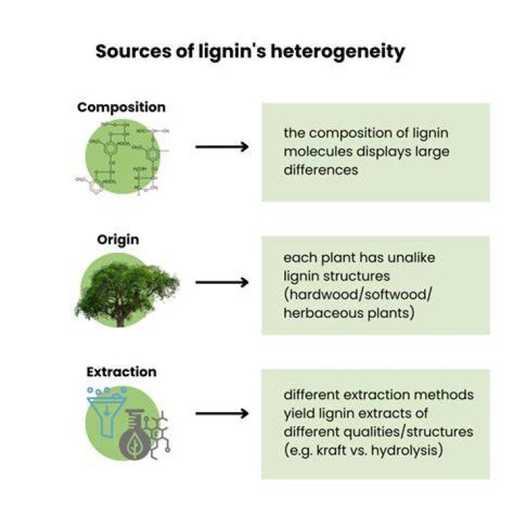 Do charophytes have lignin?