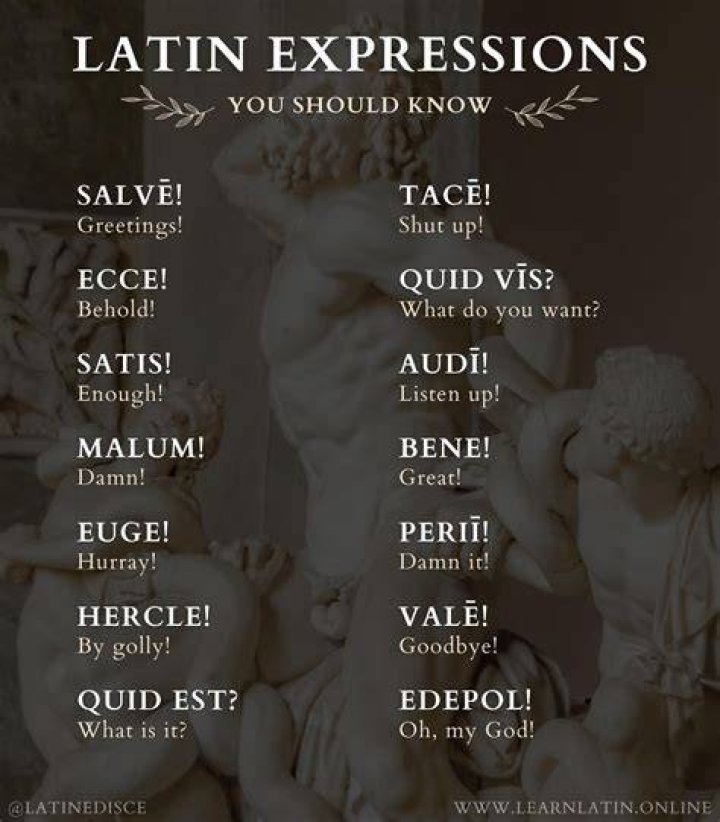 How do you say quick in Latin?