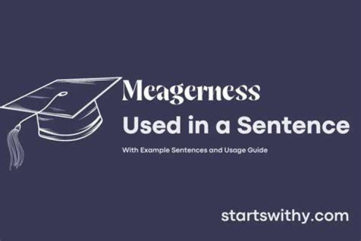How do you use meagerness in a sentence?