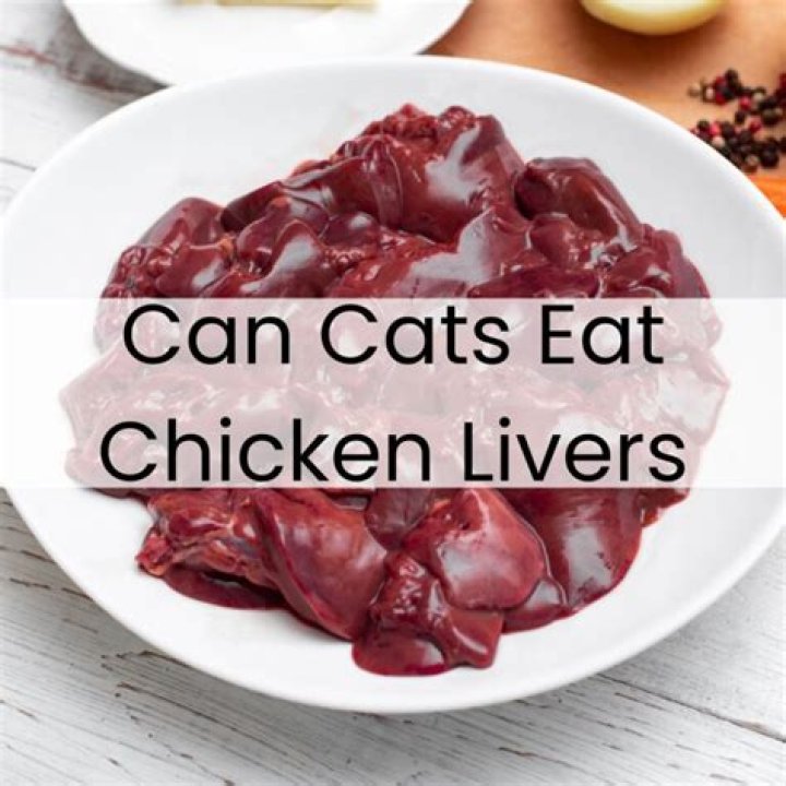 Should cats eat raw chicken livers?